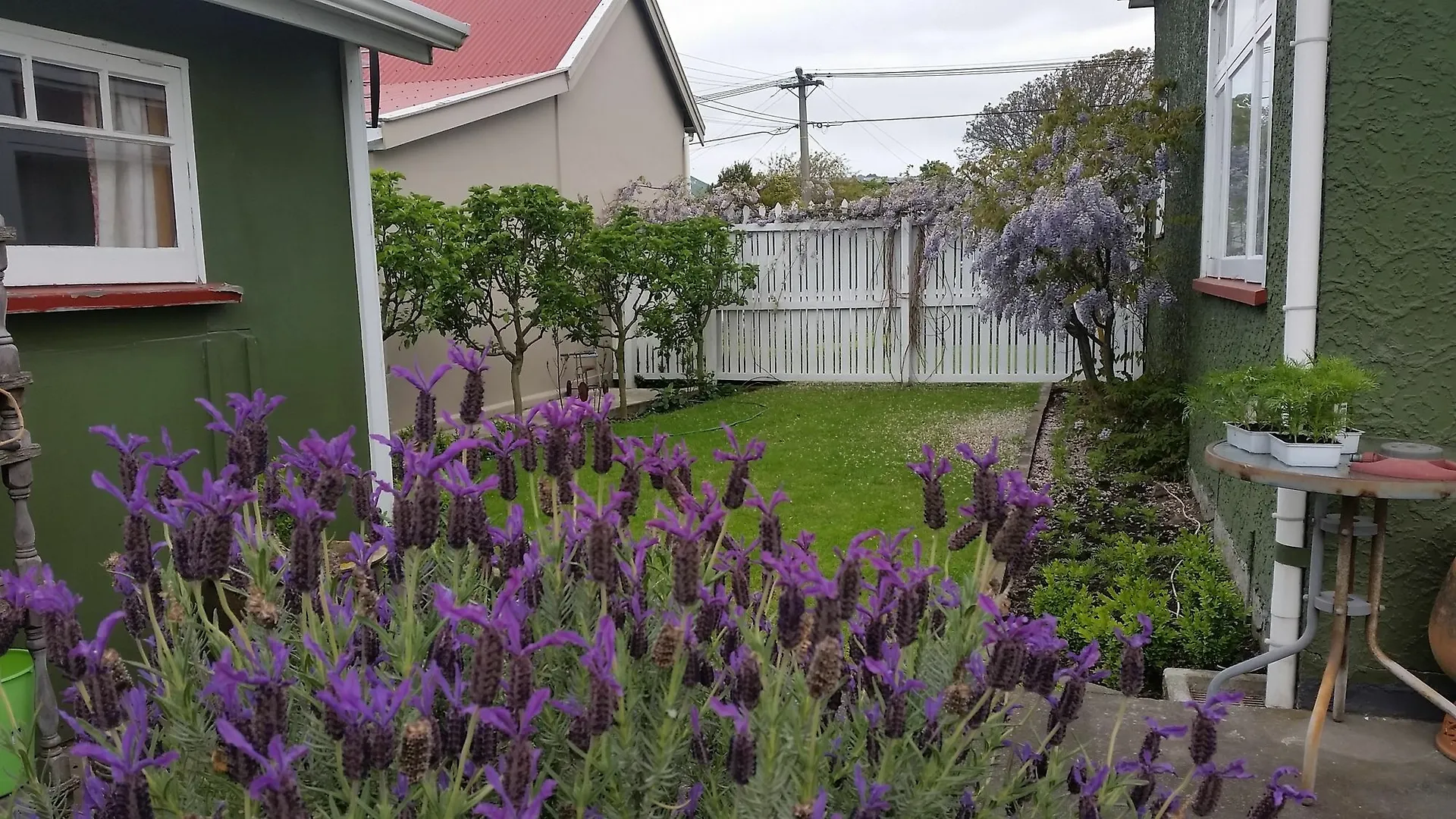 Designer Cottage Christchurch Nieuw-Zeeland